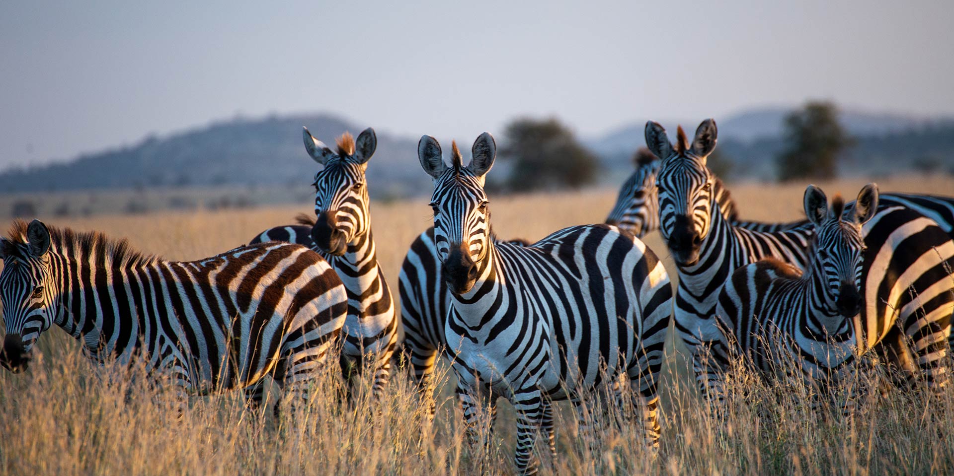 tanzania safari holidays