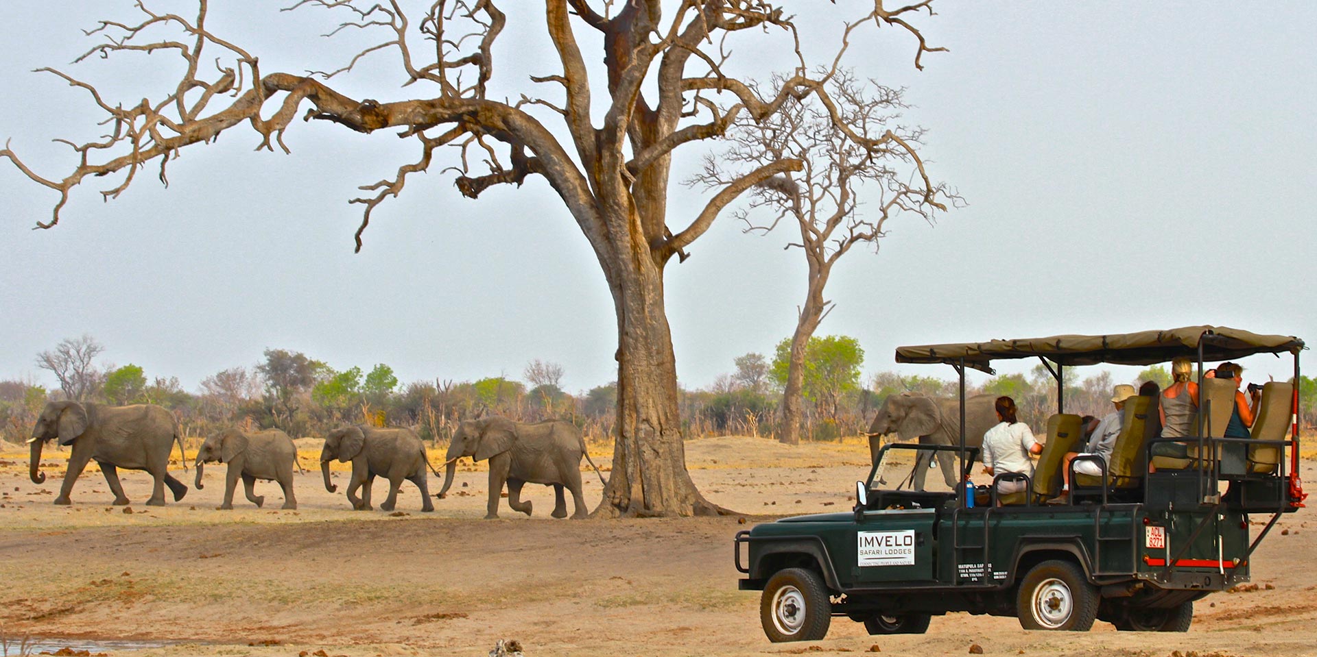 zimbabwe safari adventure