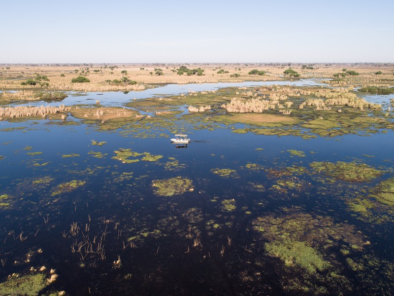 Botswana kanana safari