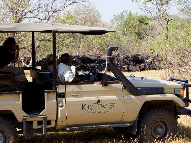 botswana okuti safari